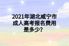 咸宁市成人高考报名费用是多少？